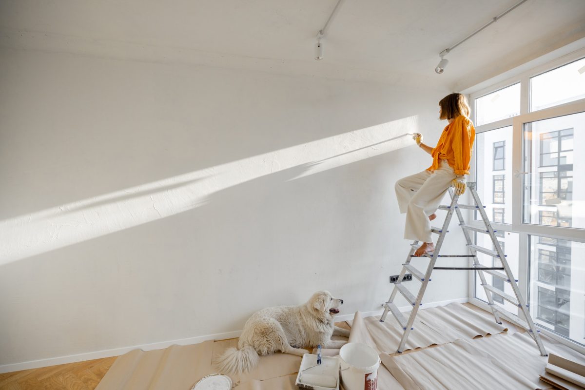 Woman with dog renovating house